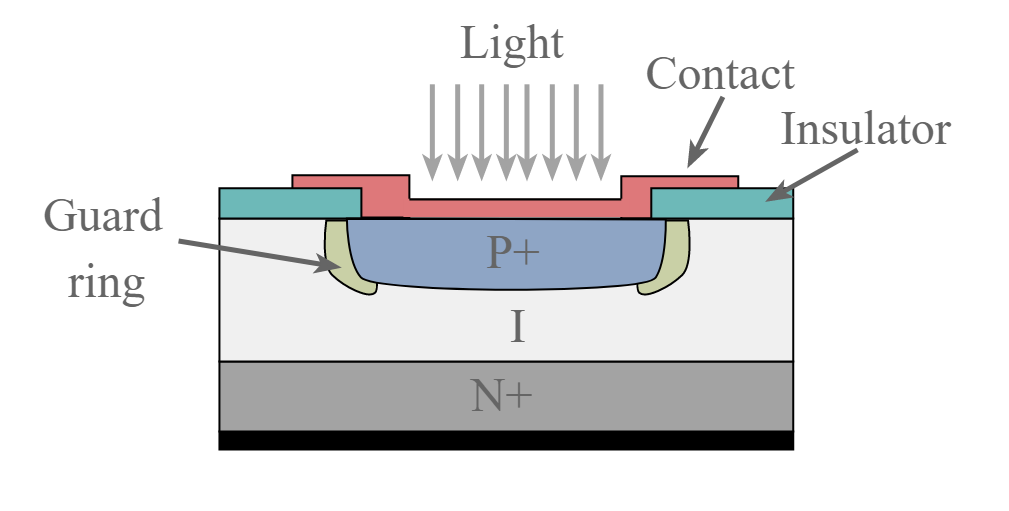 Avalanche PIN fotodiodo estrutura